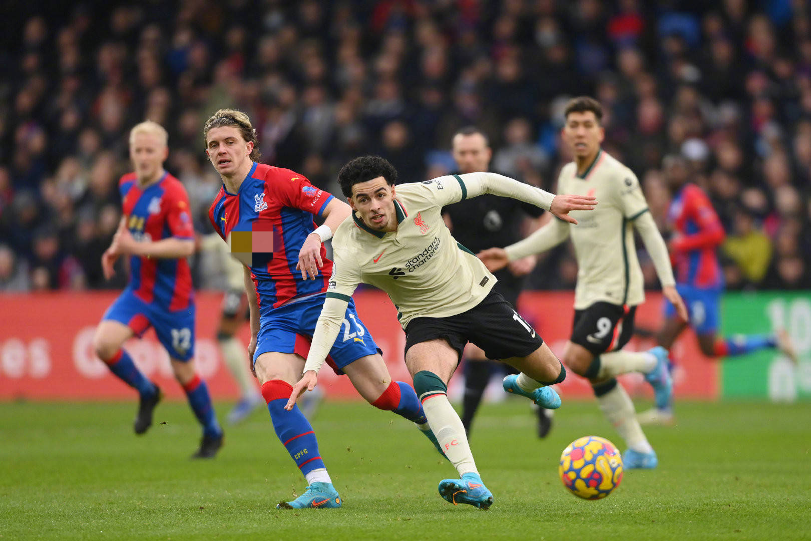 这不仅打造 这不仅打造